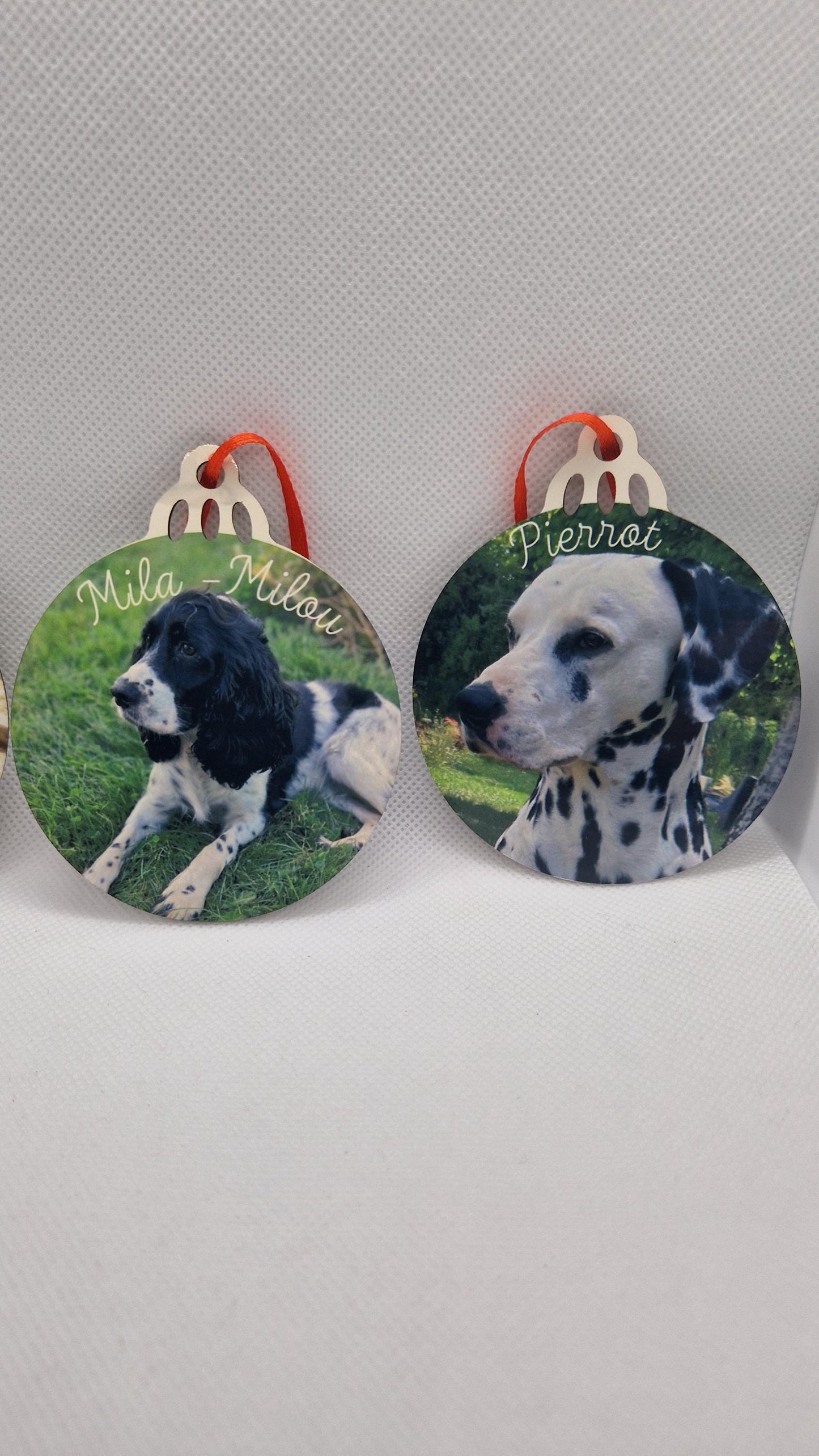 Coffret boules Noël famille personnalisées animaux Heyl’Créations