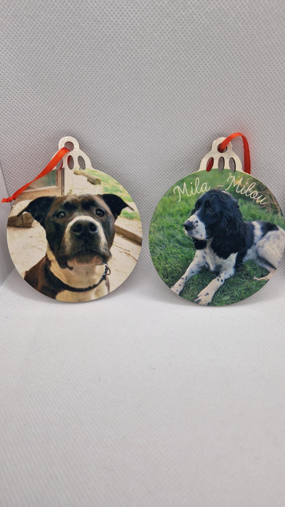 Coffret boules Noël famille personnalisées animaux Heyl’Créations