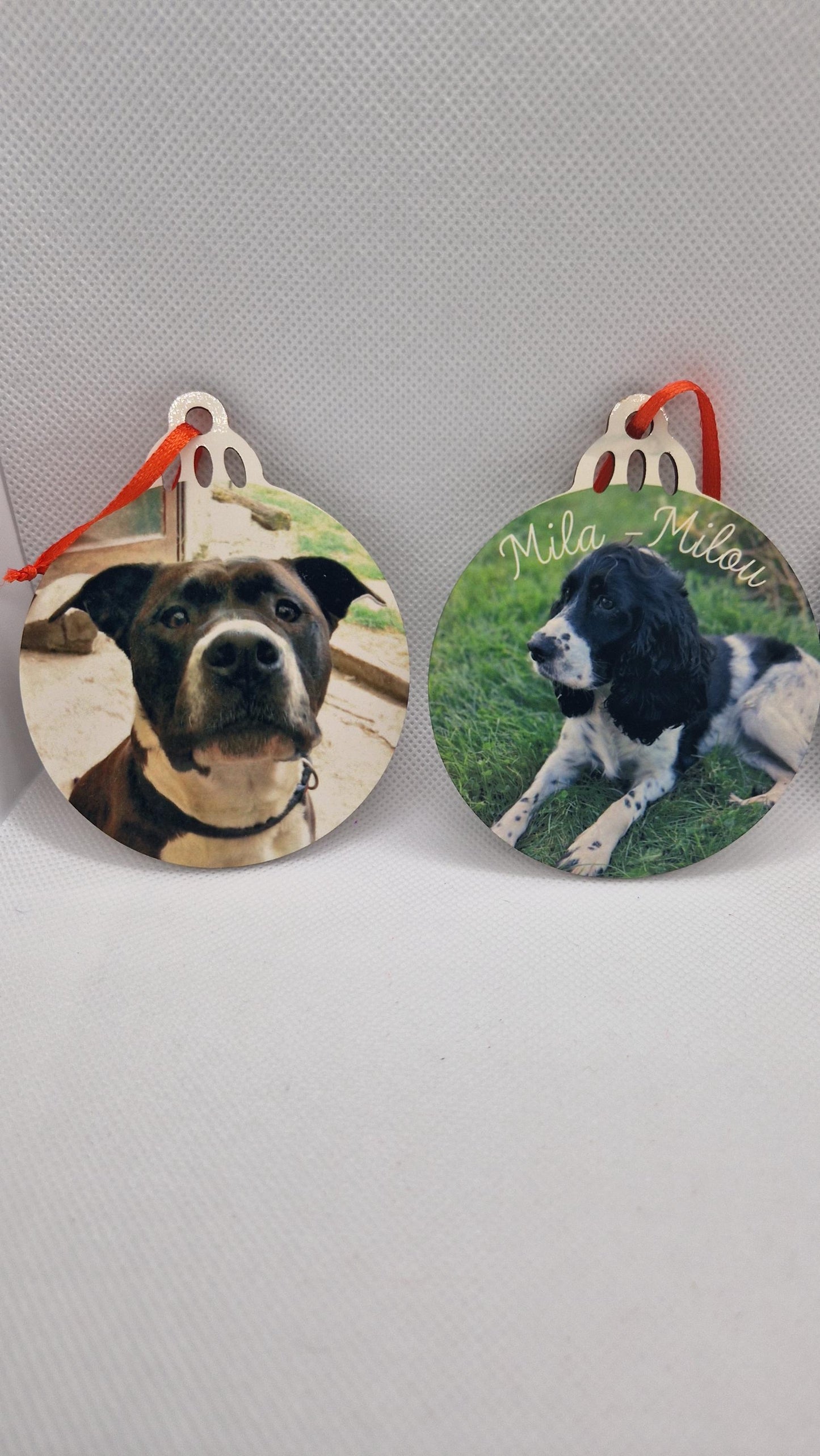 Coffret boules Noël famille personnalisées animaux Heyl’Créations