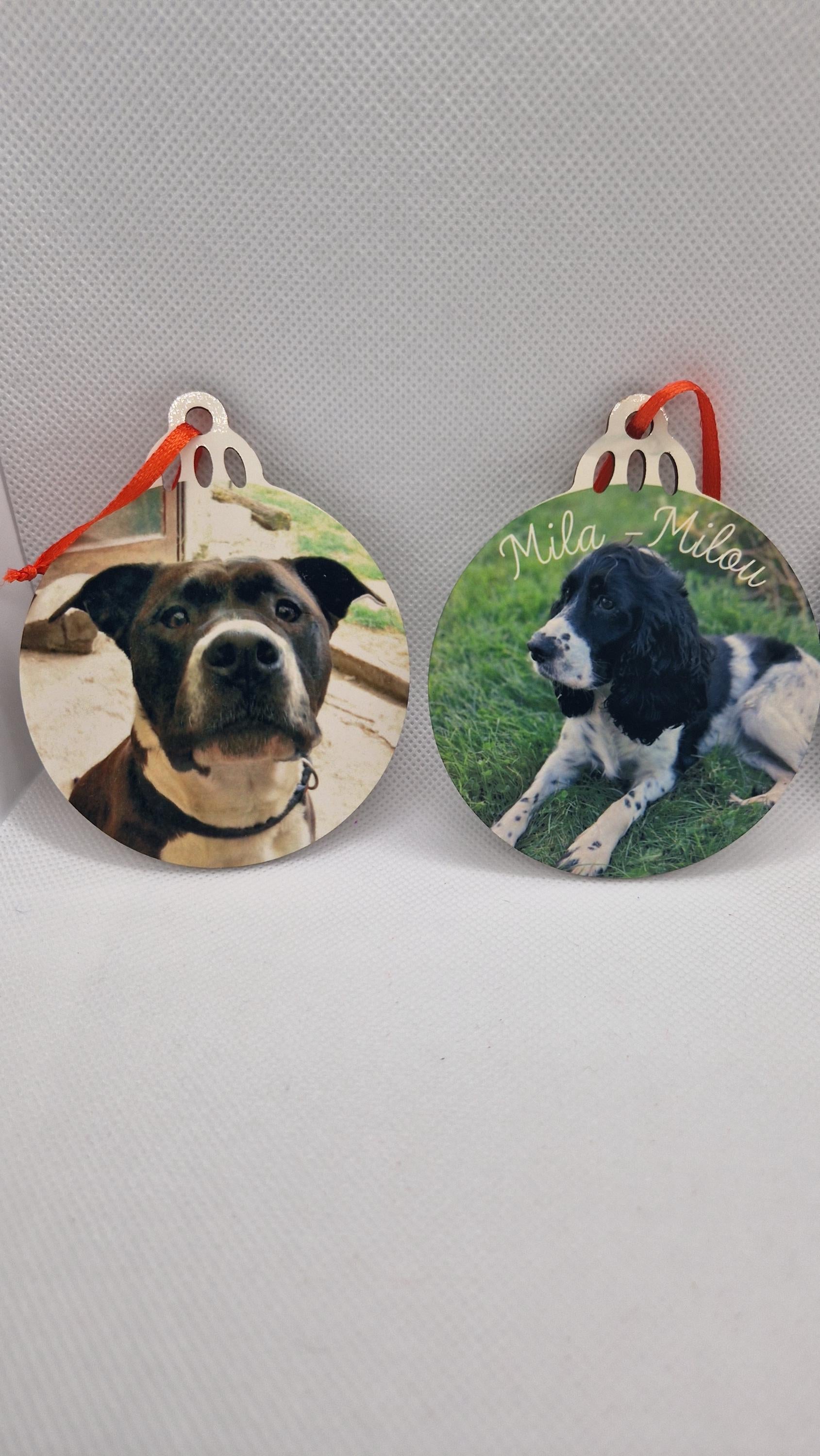 Coffret boules Noël famille personnalisées animaux Heyl’Créations