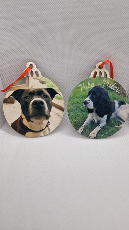 Coffret boules Noël famille personnalisées animaux Heyl’Créations