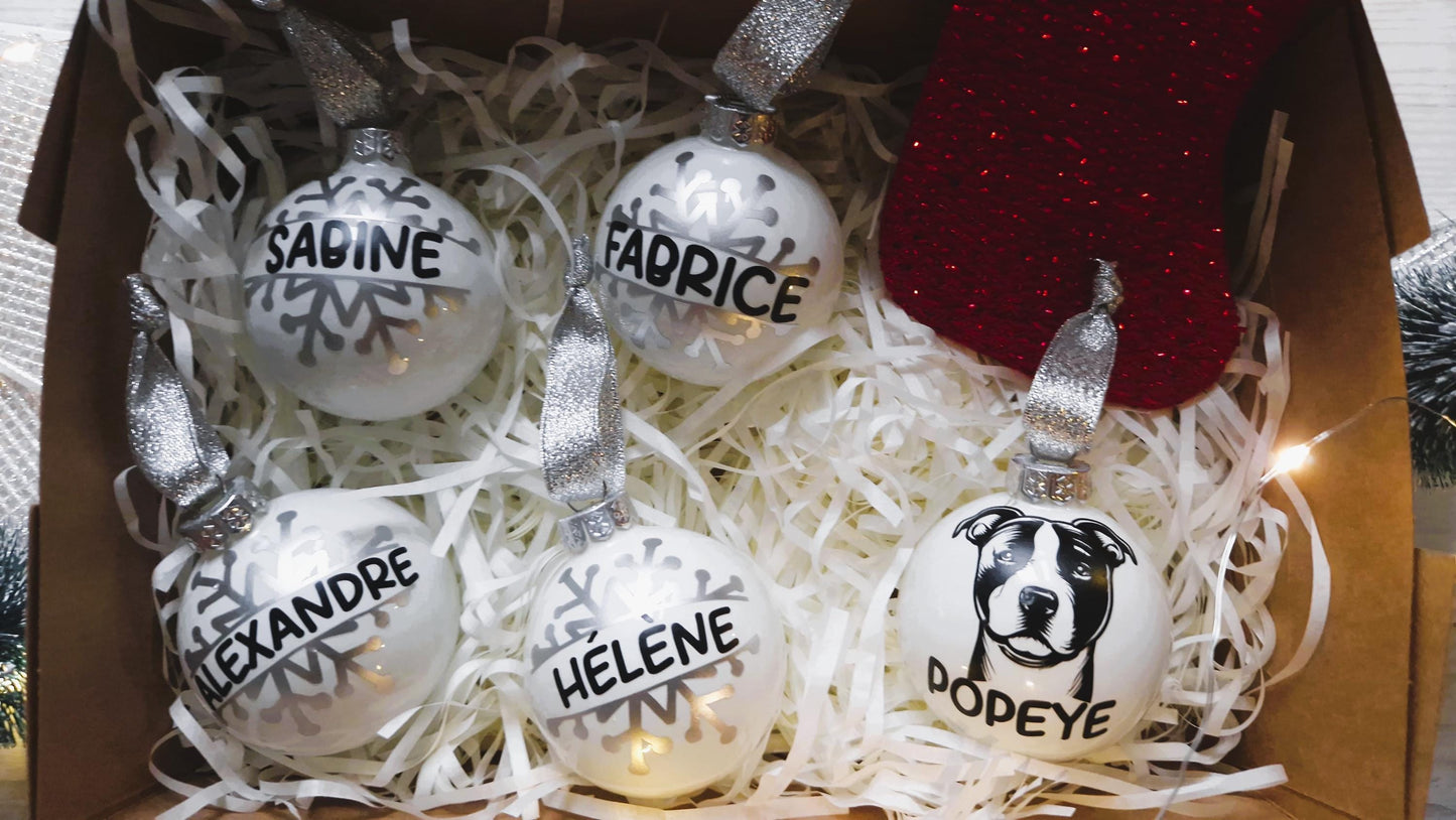 Coffret boules Noël famille personnalisées animaux Heyl’Créations