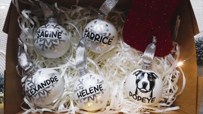 Coffret boules Noël famille personnalisées animaux Heyl’Créations