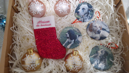 Coffret boules Noël famille personnalisées animaux Heyl’Créations
