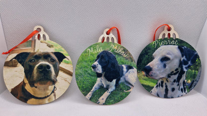 Coffret boules Noël famille personnalisées animaux Heyl’Créations