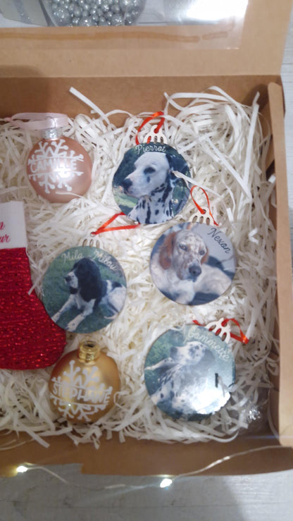 Coffret boules Noël famille personnalisées animaux Heyl’Créations