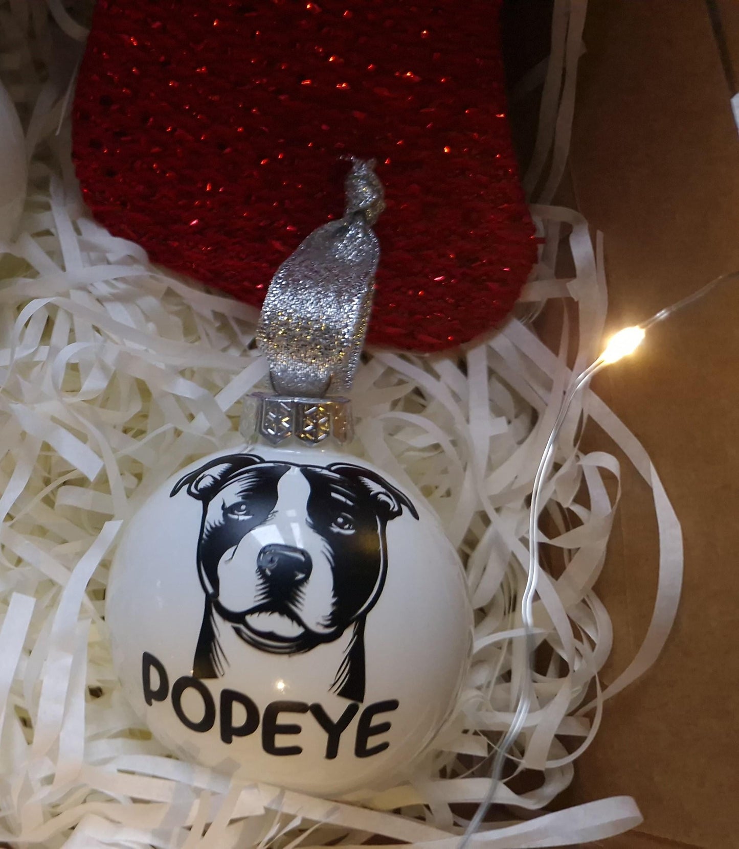 Coffret boules Noël famille personnalisées animaux Heyl’Créations