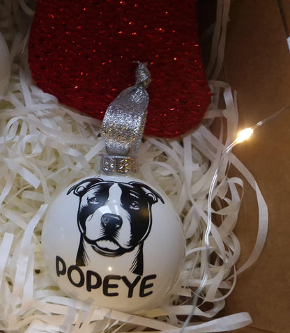 Coffret boules Noël famille personnalisées animaux Heyl’Créations