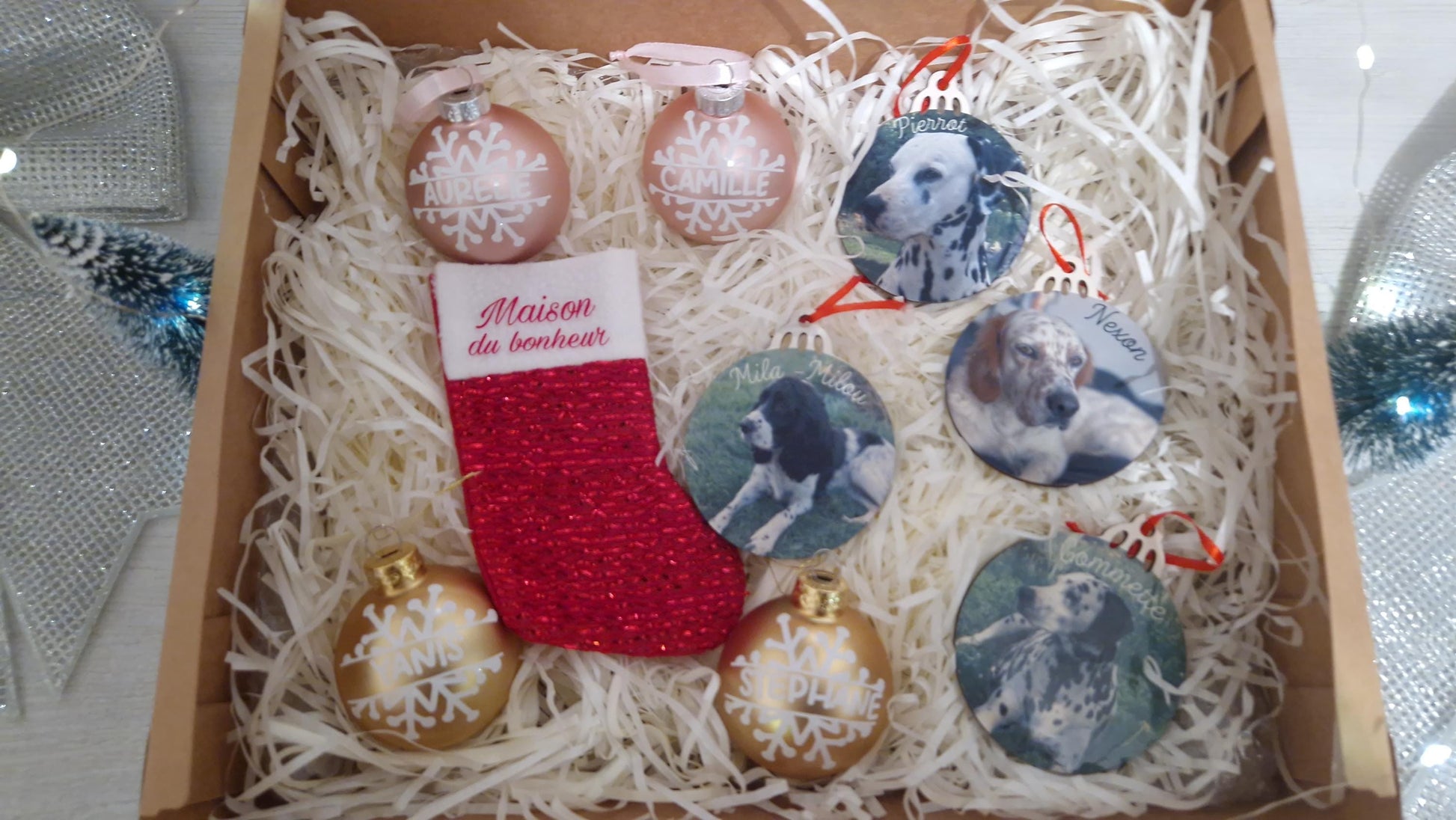 Coffret boules Noël famille personnalisées animaux Heyl’Créations