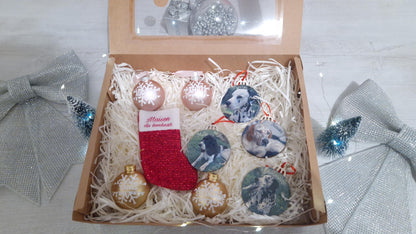 Coffret boules Noël famille personnalisées animaux Heyl’Créations